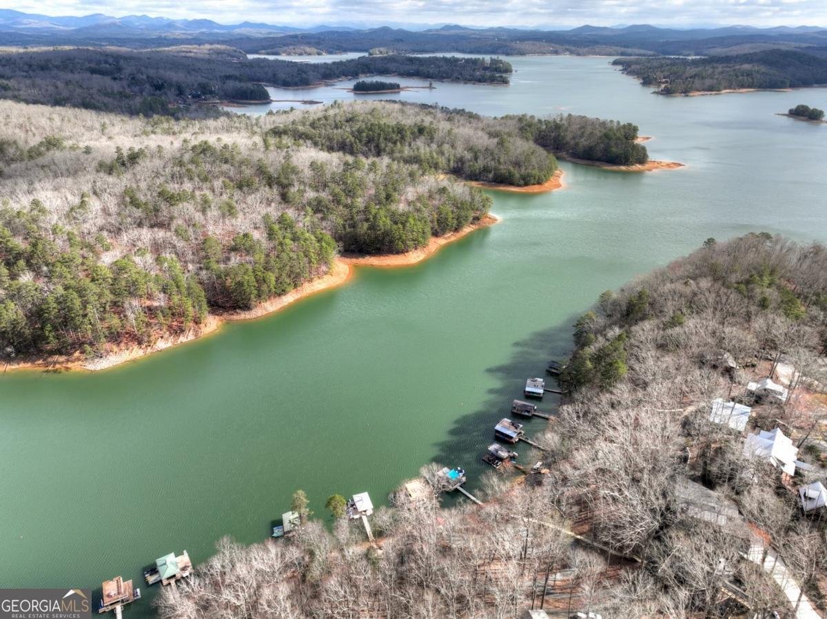 59 Chiefs Lane Blue Ridge - Photo 48