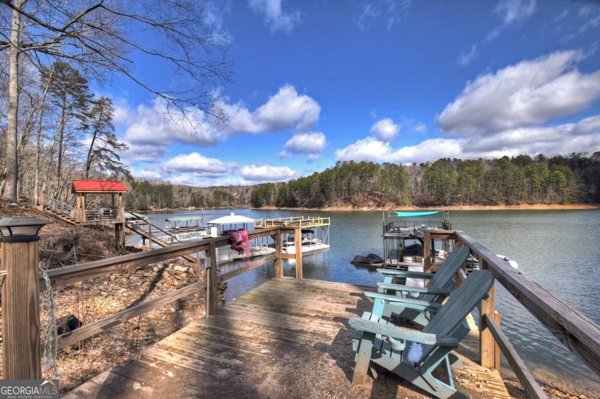 59 Chiefs Lane Blue Ridge - Photo 53