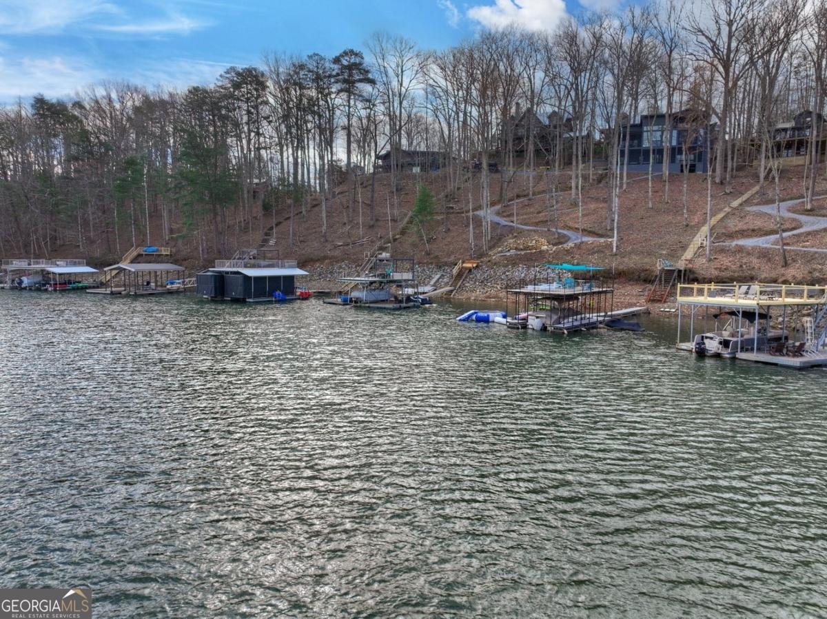 59 Chiefs Lane Blue Ridge - Photo 68