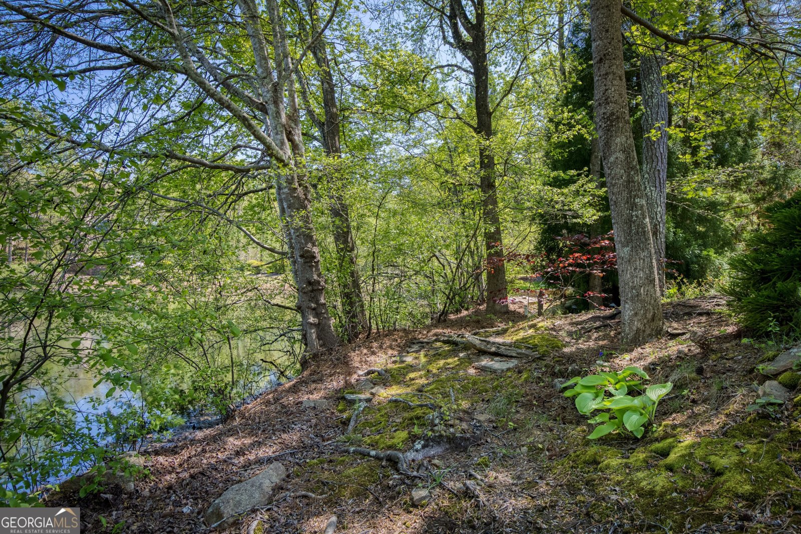 1095 Stonegate Court Roswell - Photo 146