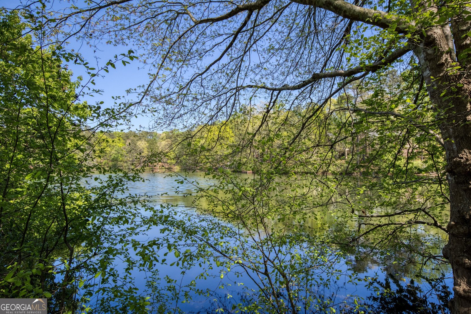 1095 Stonegate Court Roswell - Photo 147