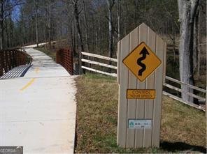 416 Nickajack Retreat Lane Smyrna - Photo 58