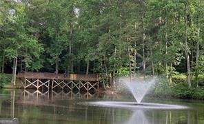 416 Nickajack Retreat Lane Smyrna - Photo 59