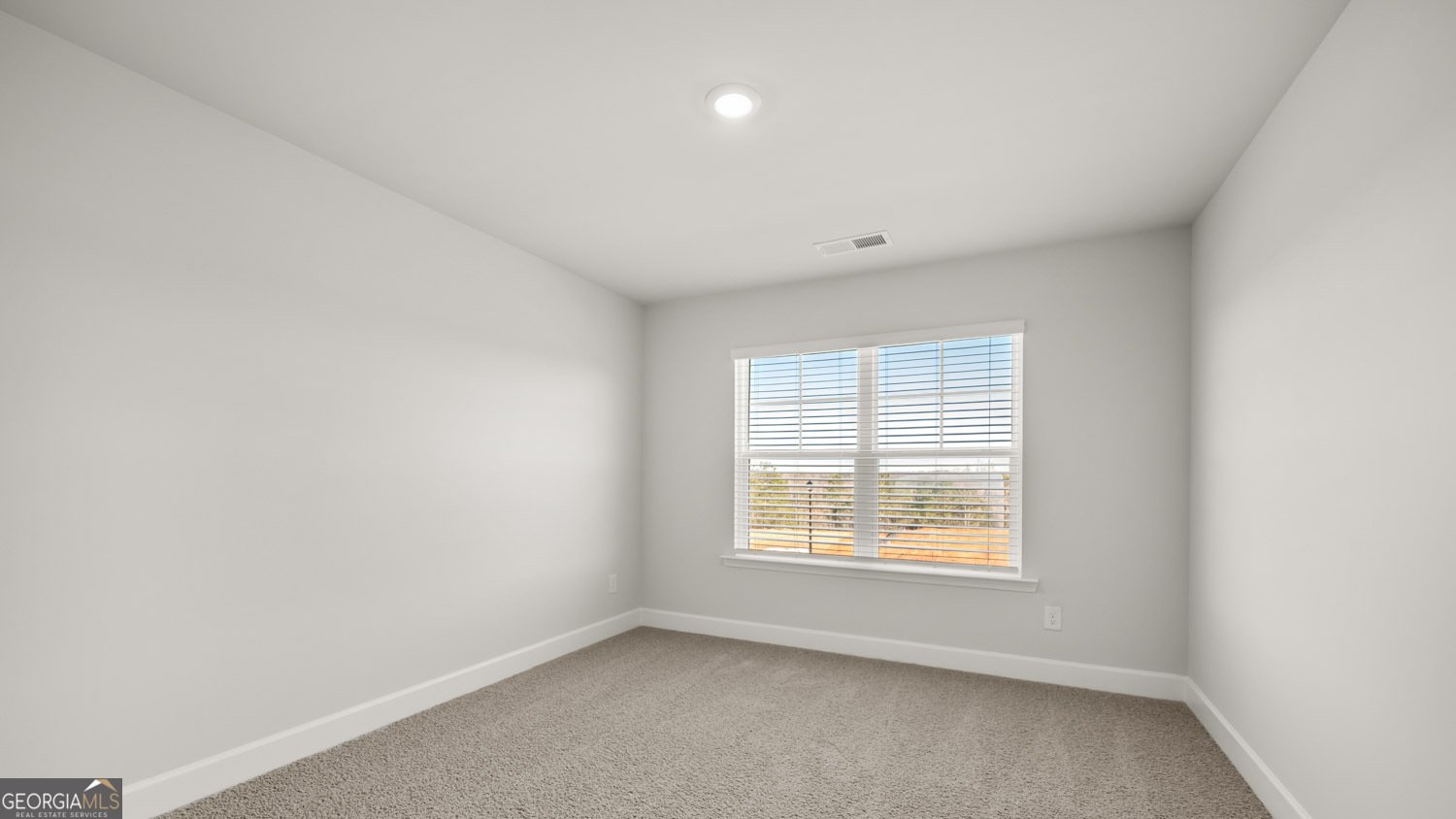 424 Hazel Drive Locust Grove - Photo 31