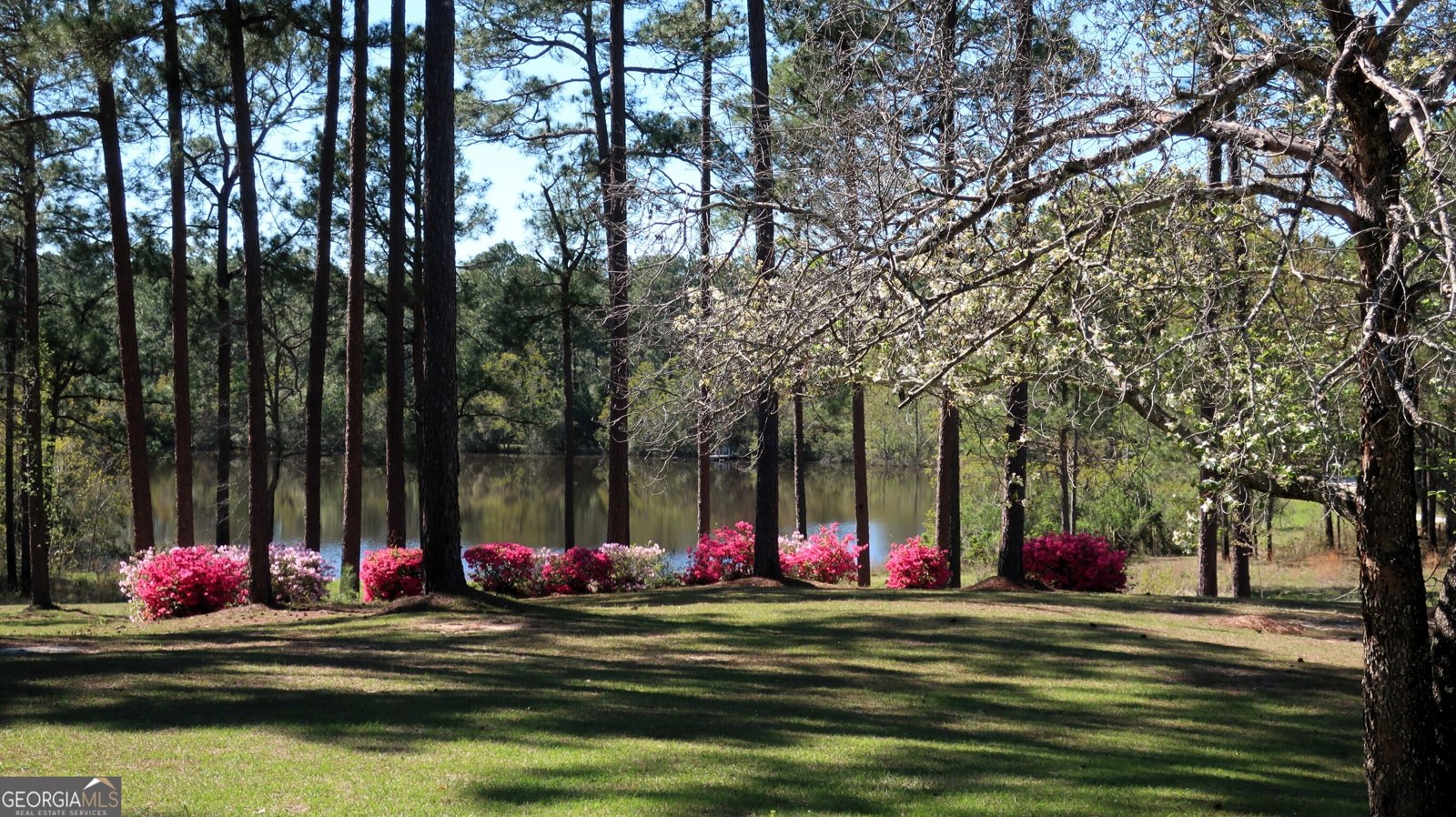 1146 Highway 56 Swainsboro - Photo 11