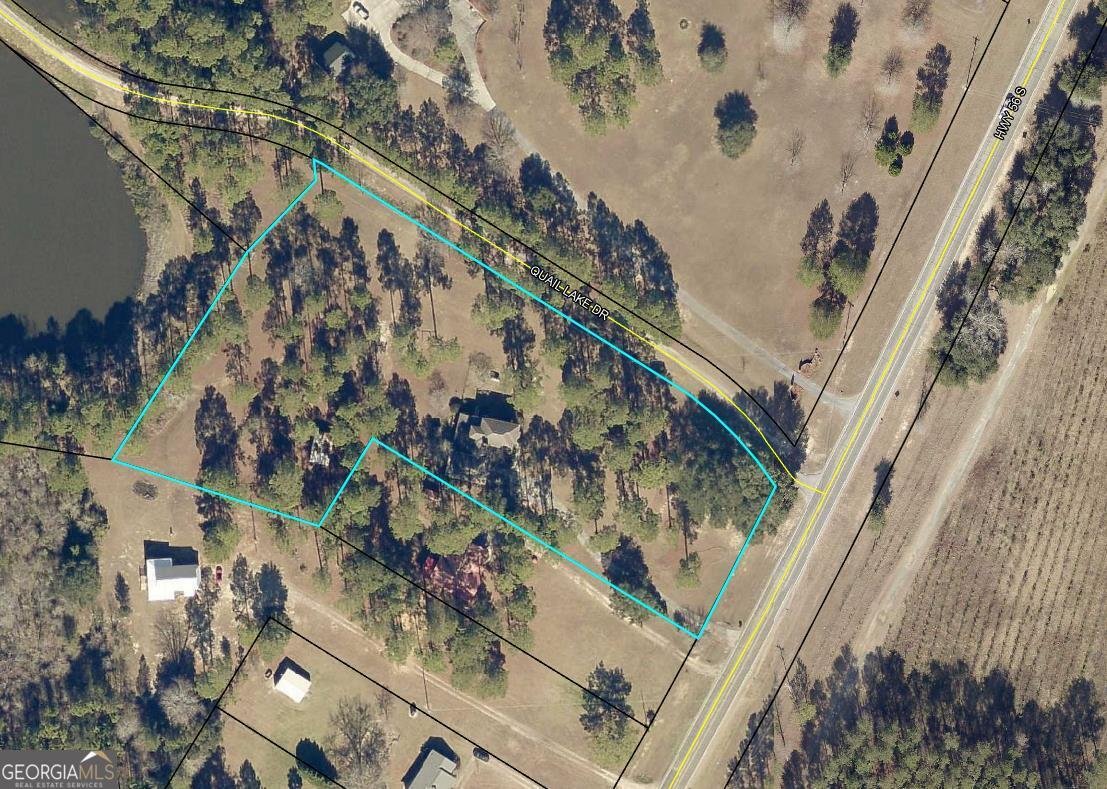 1146 Highway 56 Swainsboro - Photo 43