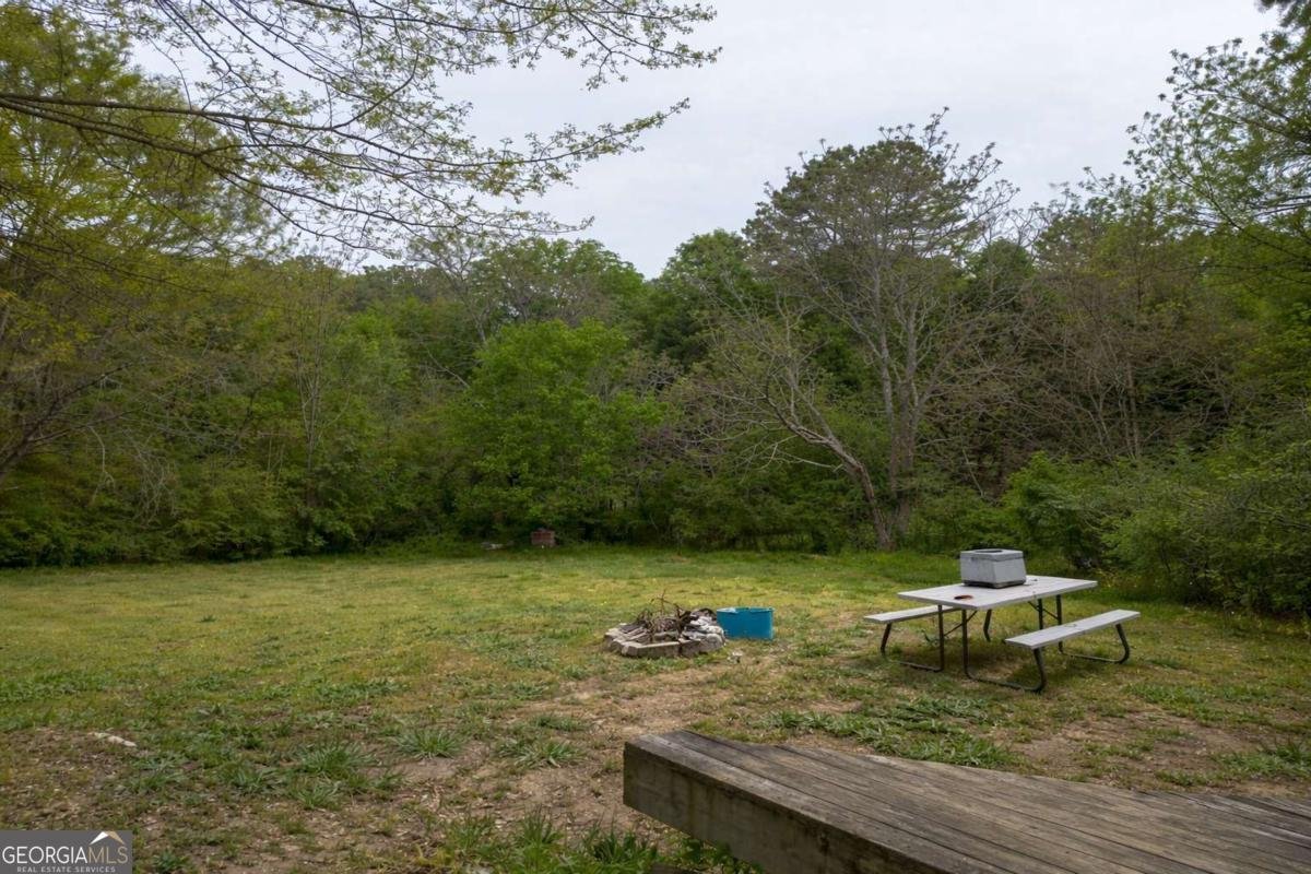 531 Mount Zion Road Conyers - Photo 29