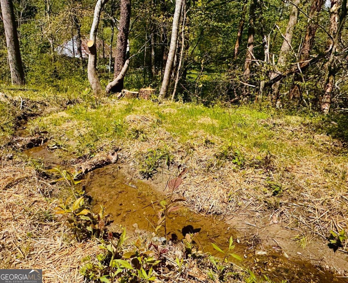 2960 Trackrock Church Road Blairsville - Photo 26