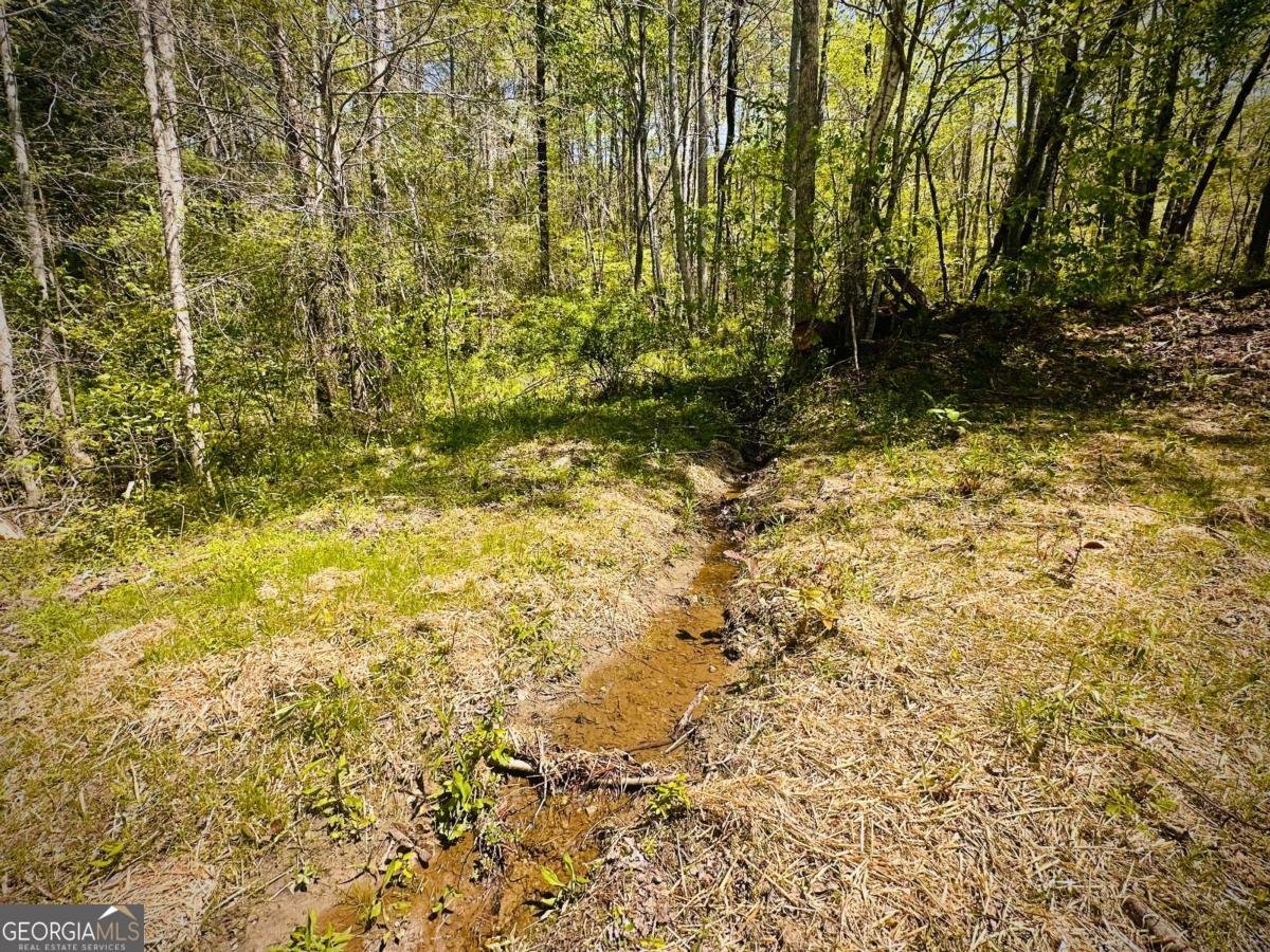 2960 Trackrock Church Road Blairsville - Photo 27