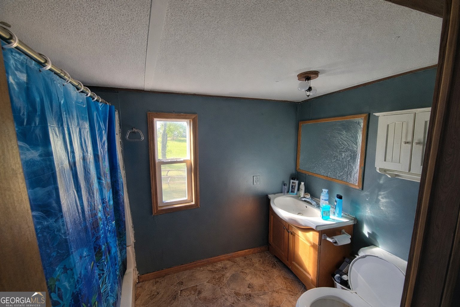 214 Homer Stephens Road Cornelia - Photo 10