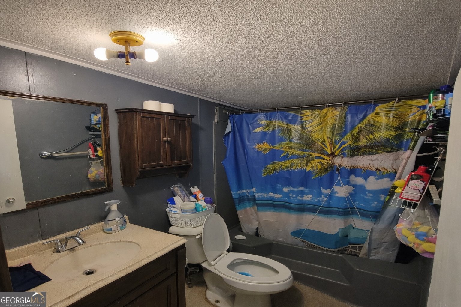 214 Homer Stephens Road Cornelia - Photo 12