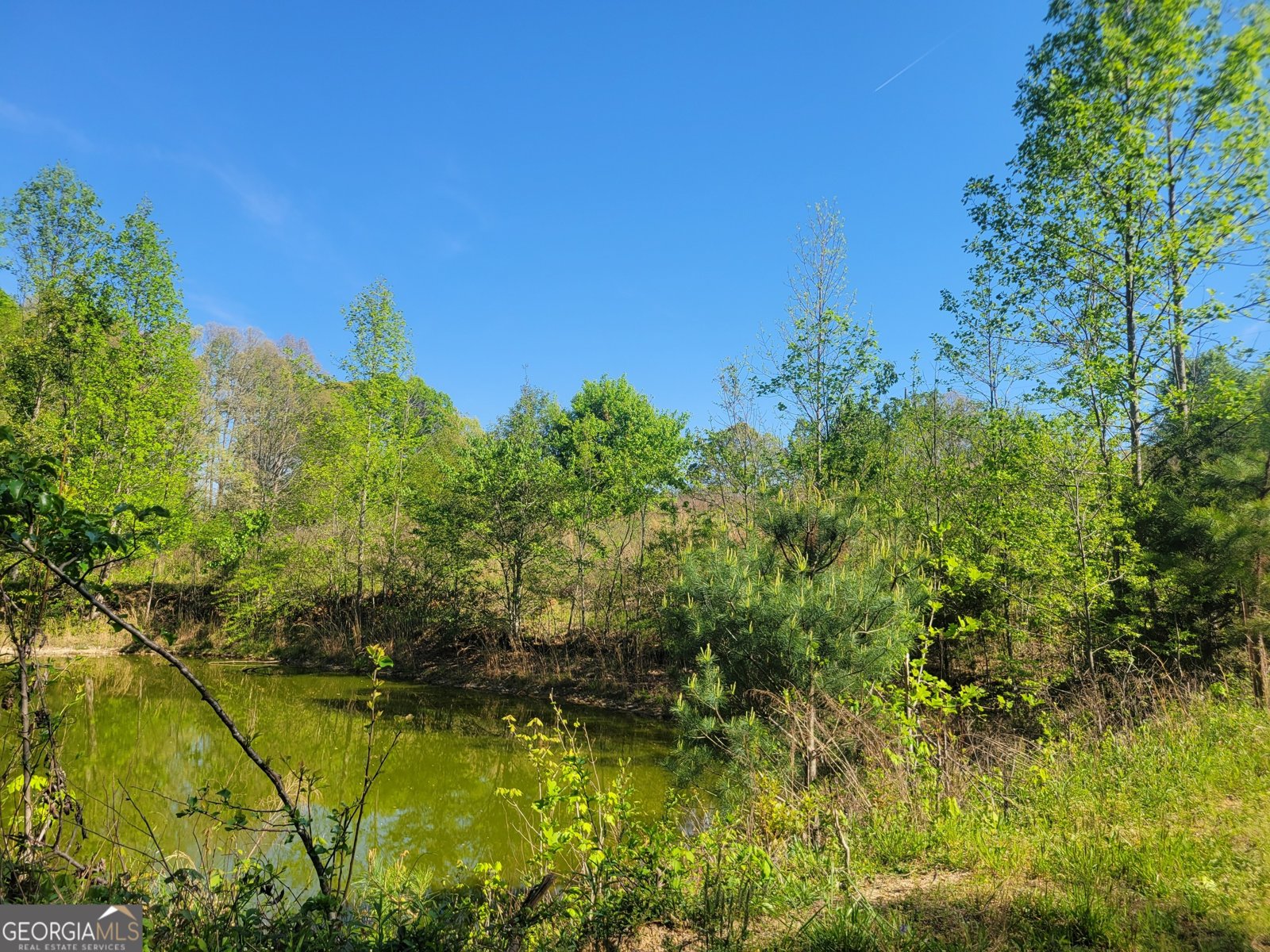 214 Homer Stephens Road Cornelia - Photo 22