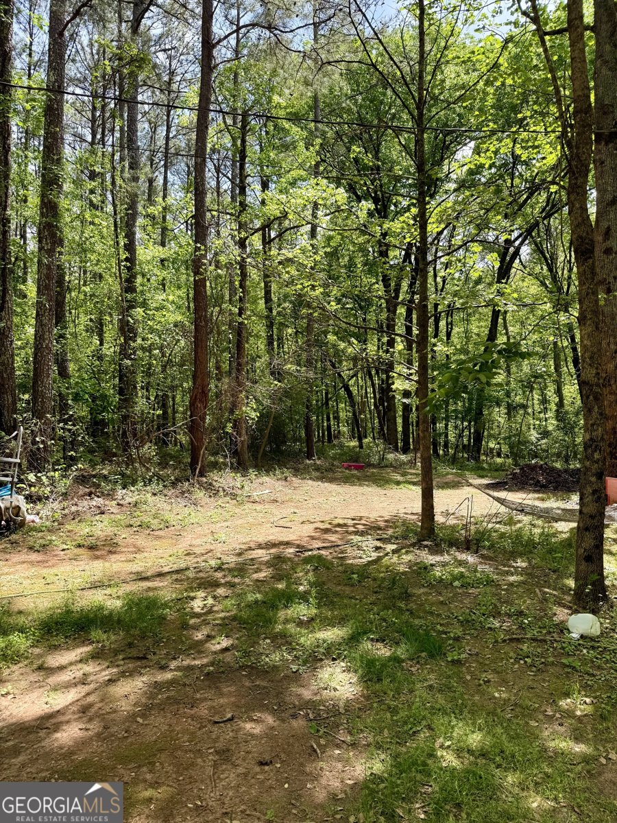 27 Hawk Trail Newborn - Photo 25