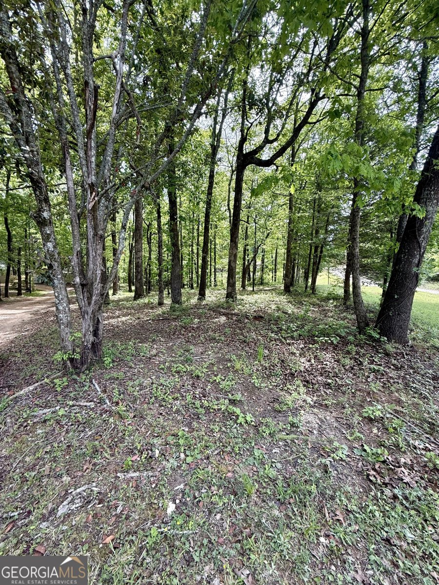 27 Hawk Trail Newborn - Photo 29