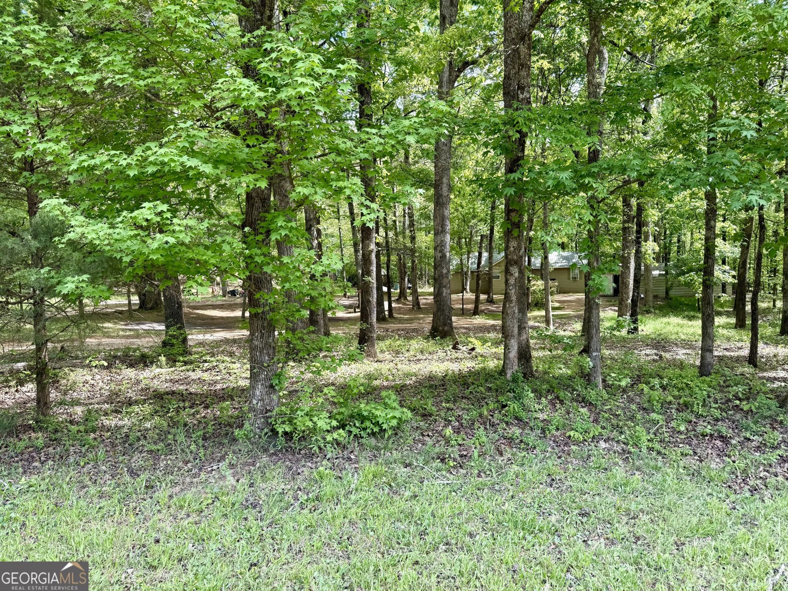 27 Hawk Trail Newborn - Photo 30