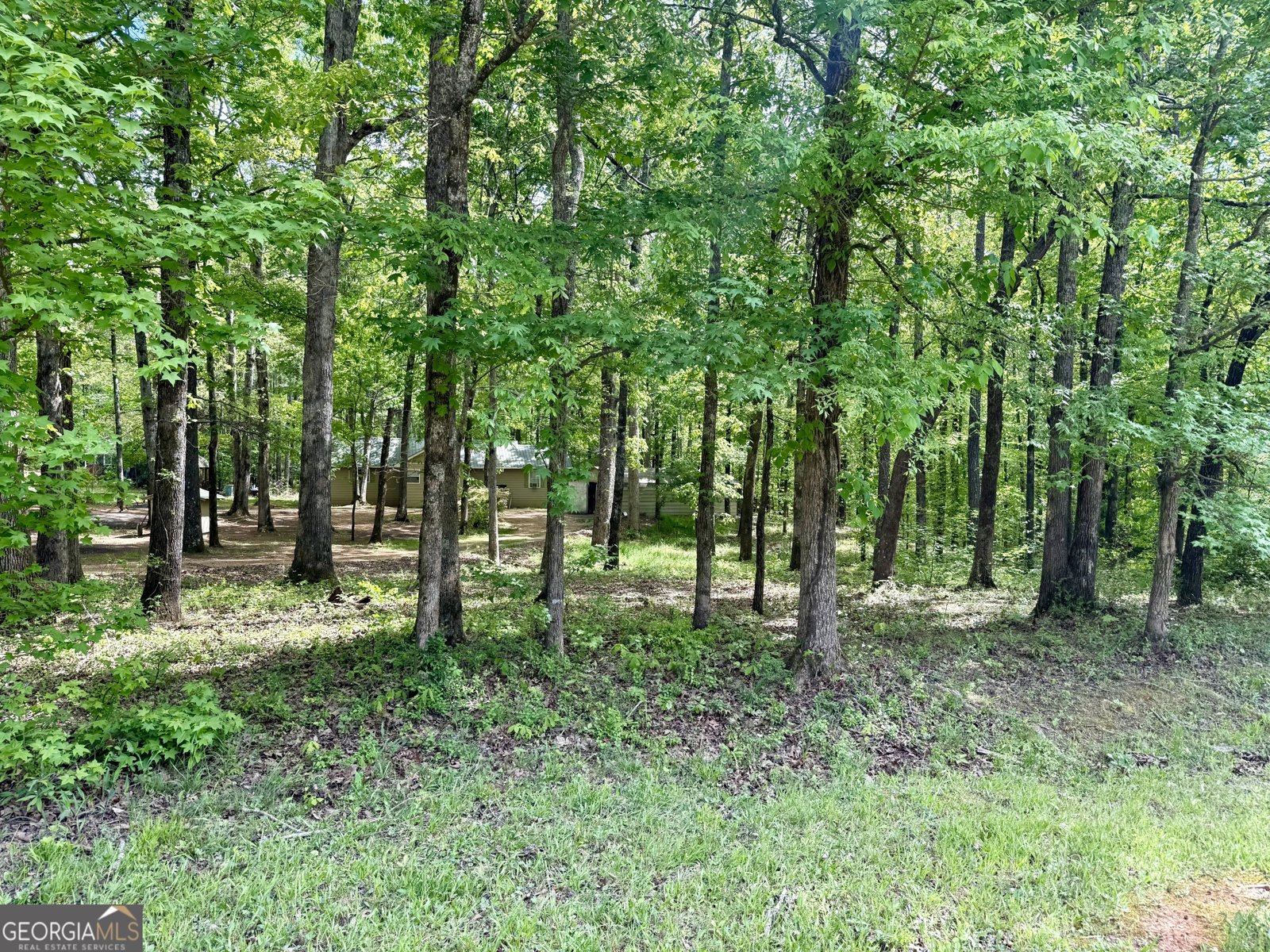 27 Hawk Trail Newborn - Photo 31