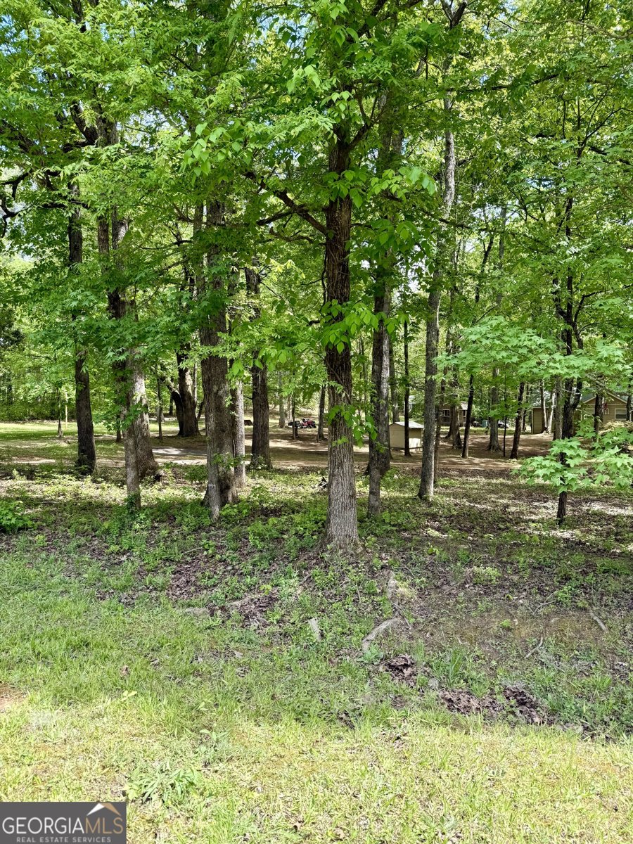 27 Hawk Trail Newborn - Photo 32