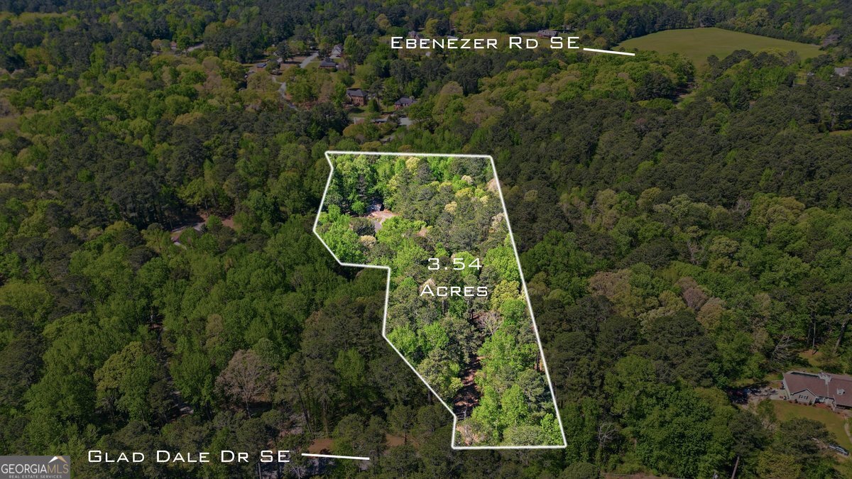 2907 Glad Dale Drive Conyers - Photo 26