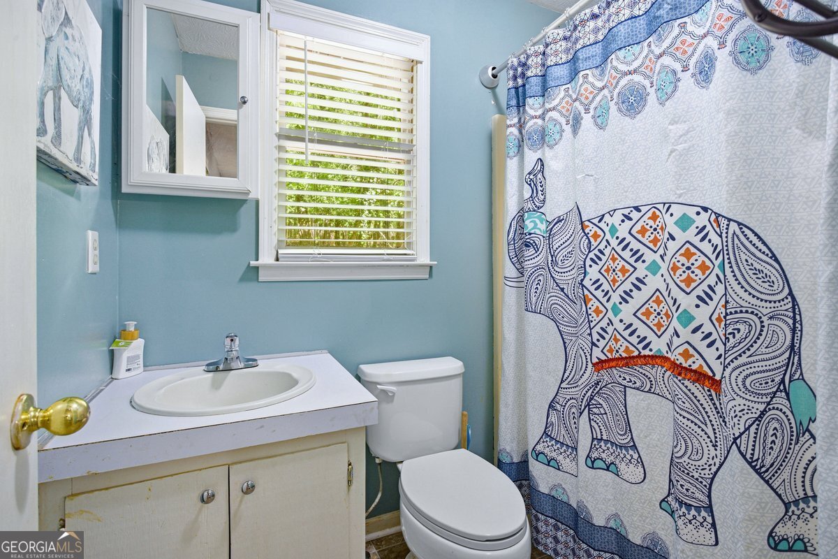 2907 Glad Dale Drive Conyers - Photo 63