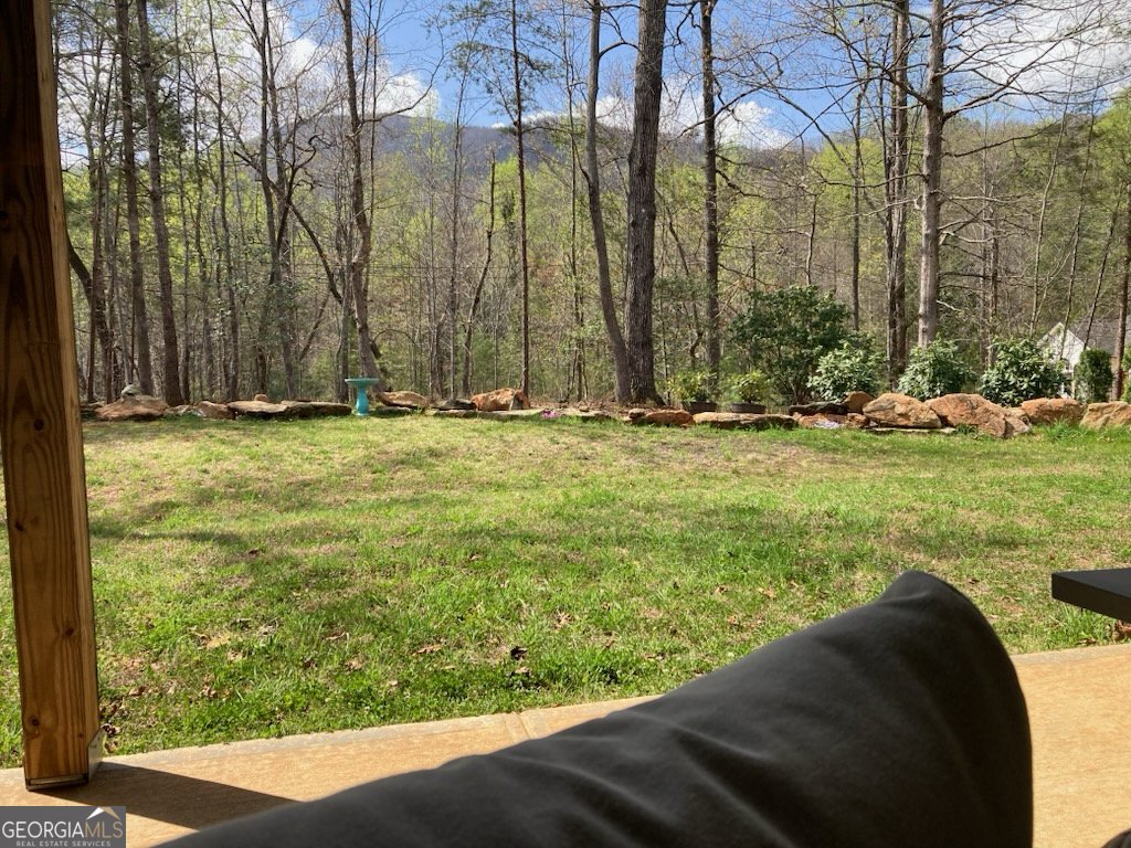 122 Bern Vista Sautee Nacoochee - Photo 42