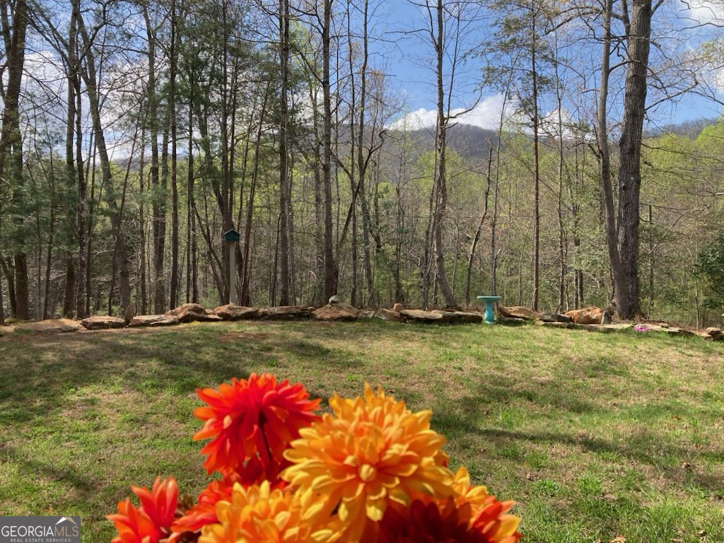 122 Bern Vista Sautee Nacoochee - Photo 43