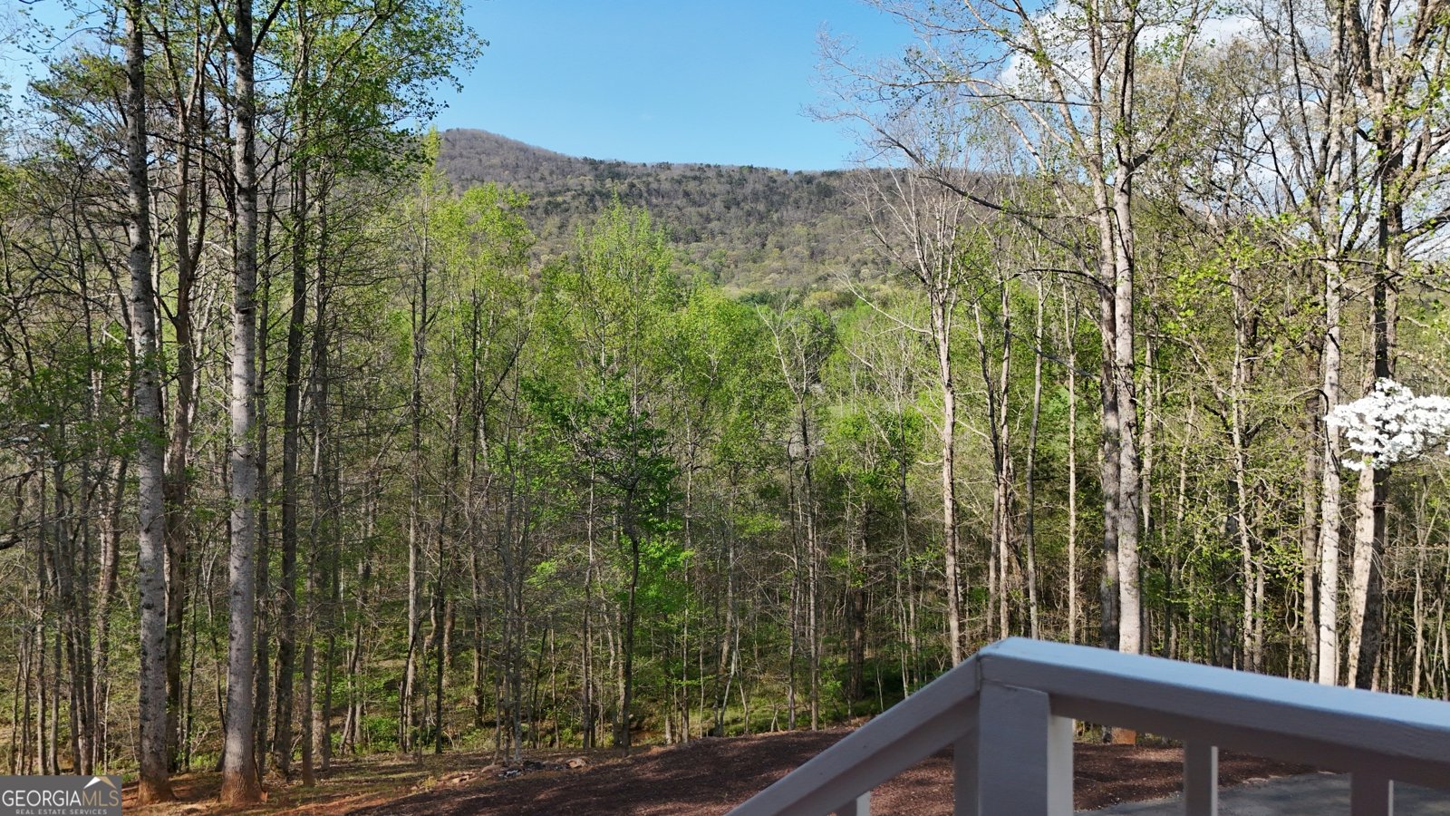 354 Prairie Flower Drive Cleveland - Photo 6