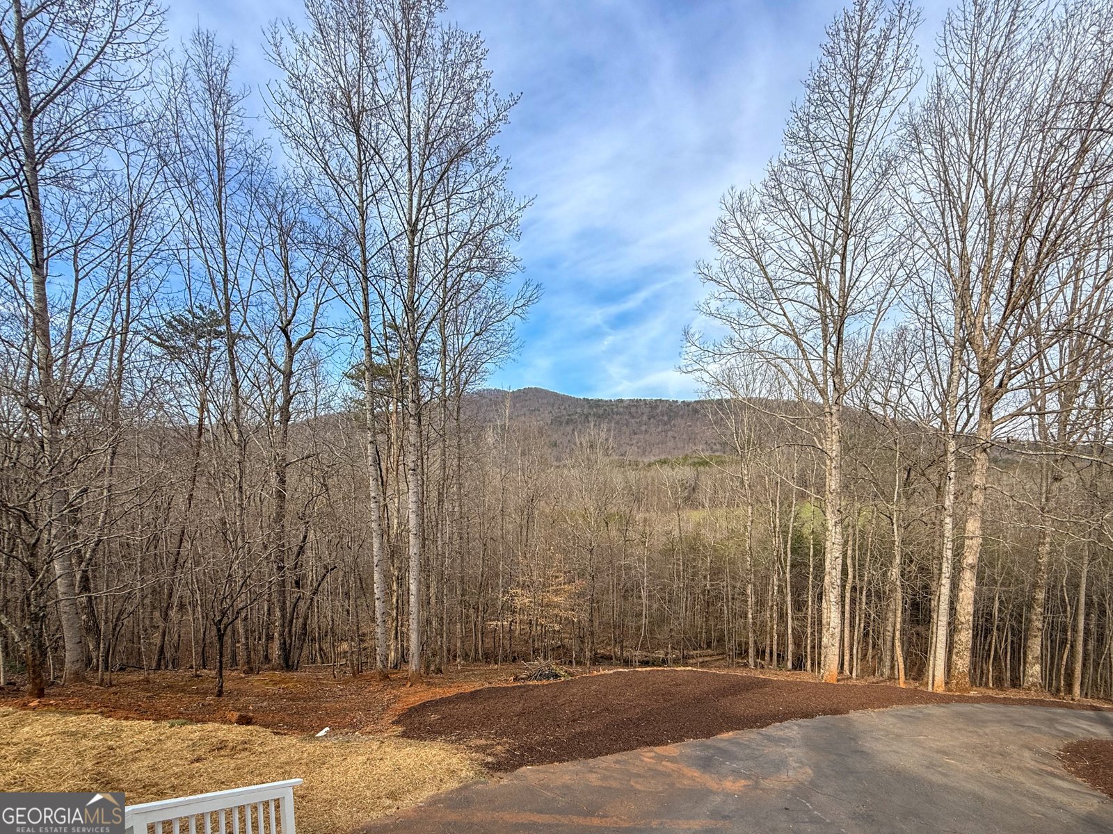 354 Prairie Flower Drive Cleveland - Photo 7