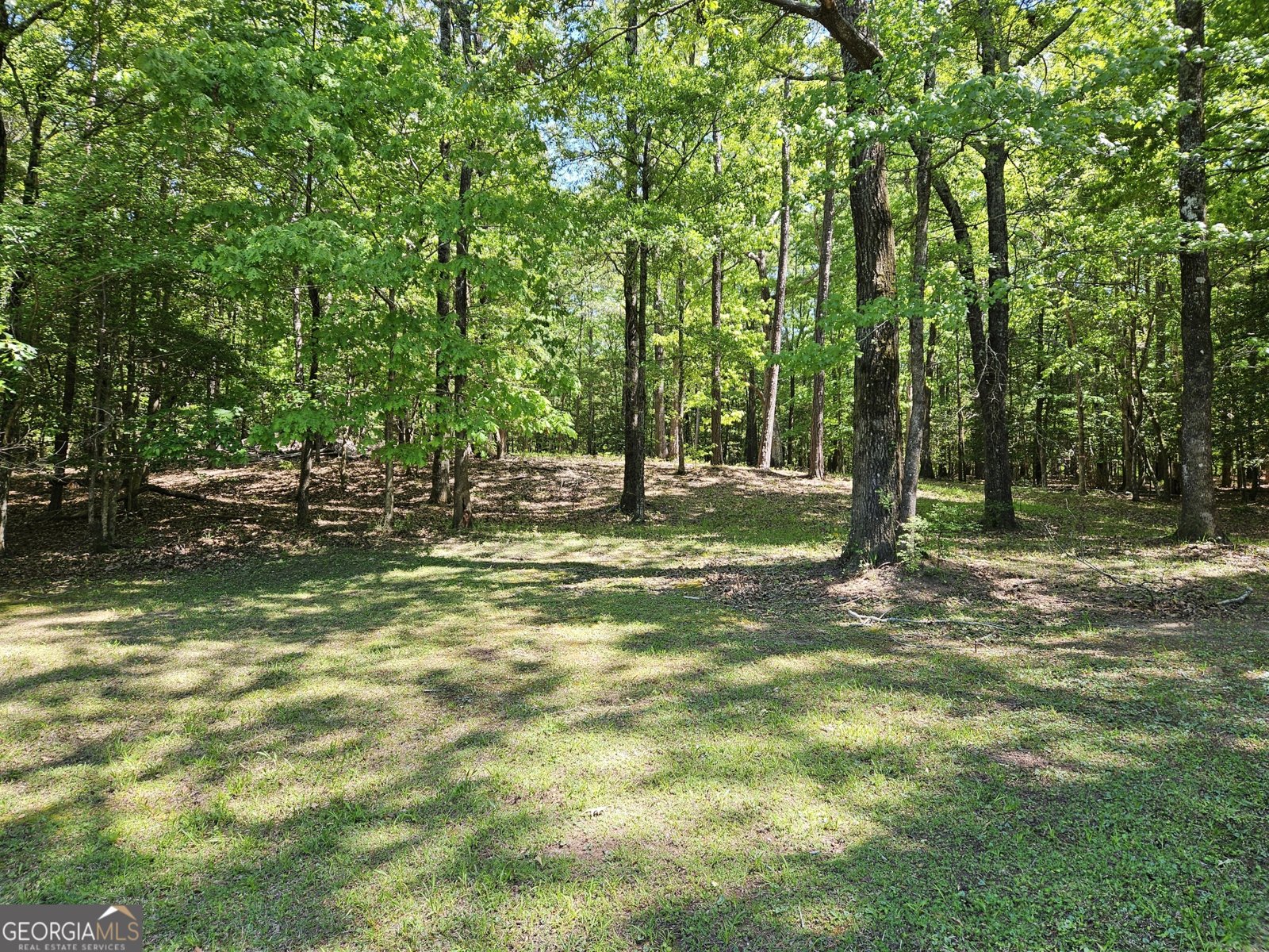 200 Gates Road Lizella - Photo 81