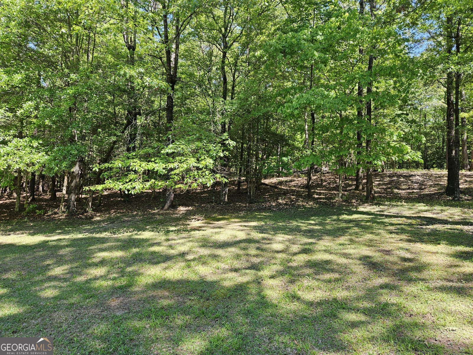 200 Gates Road Lizella - Photo 82