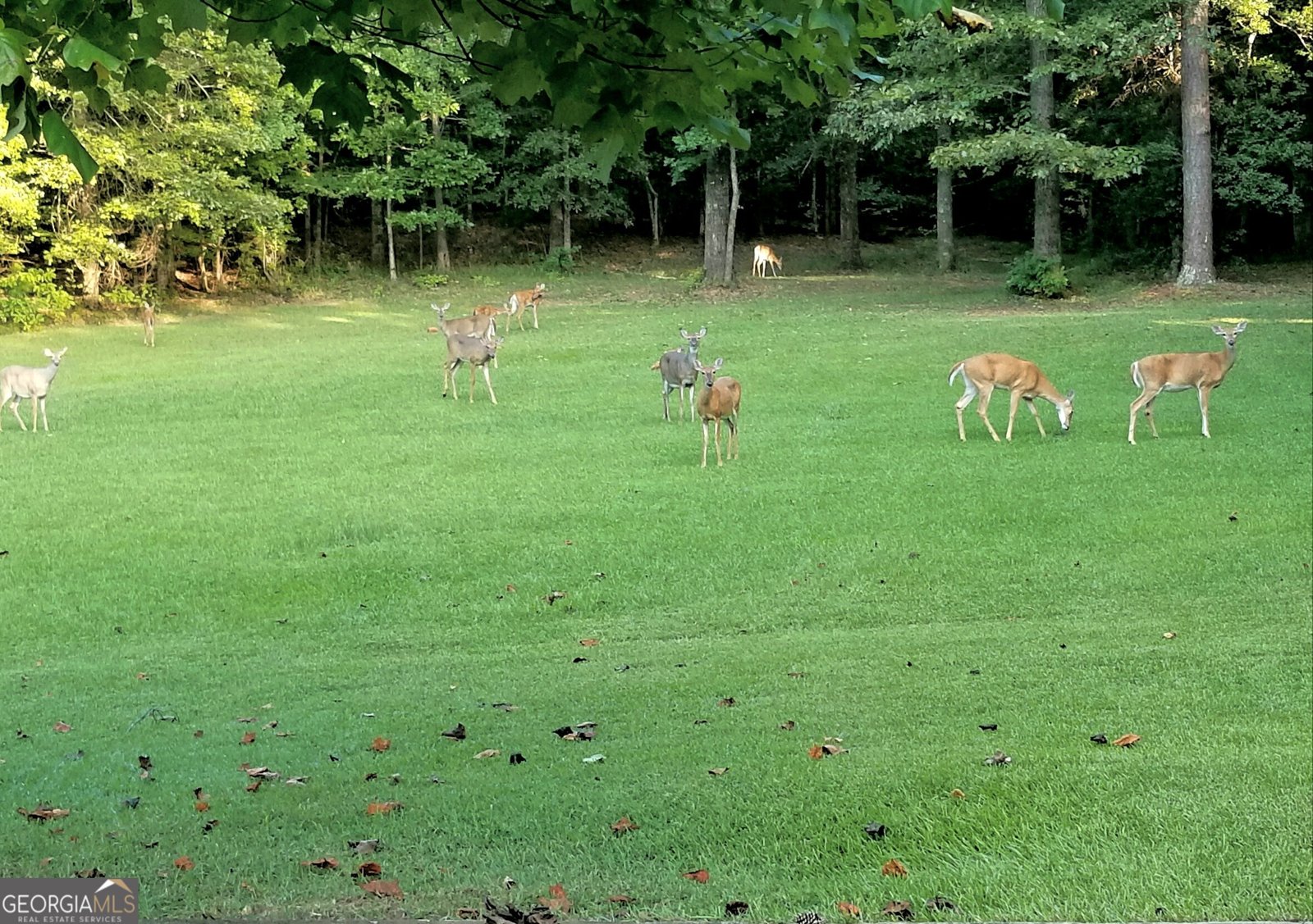 200 Gates Road Lizella - Photo 83