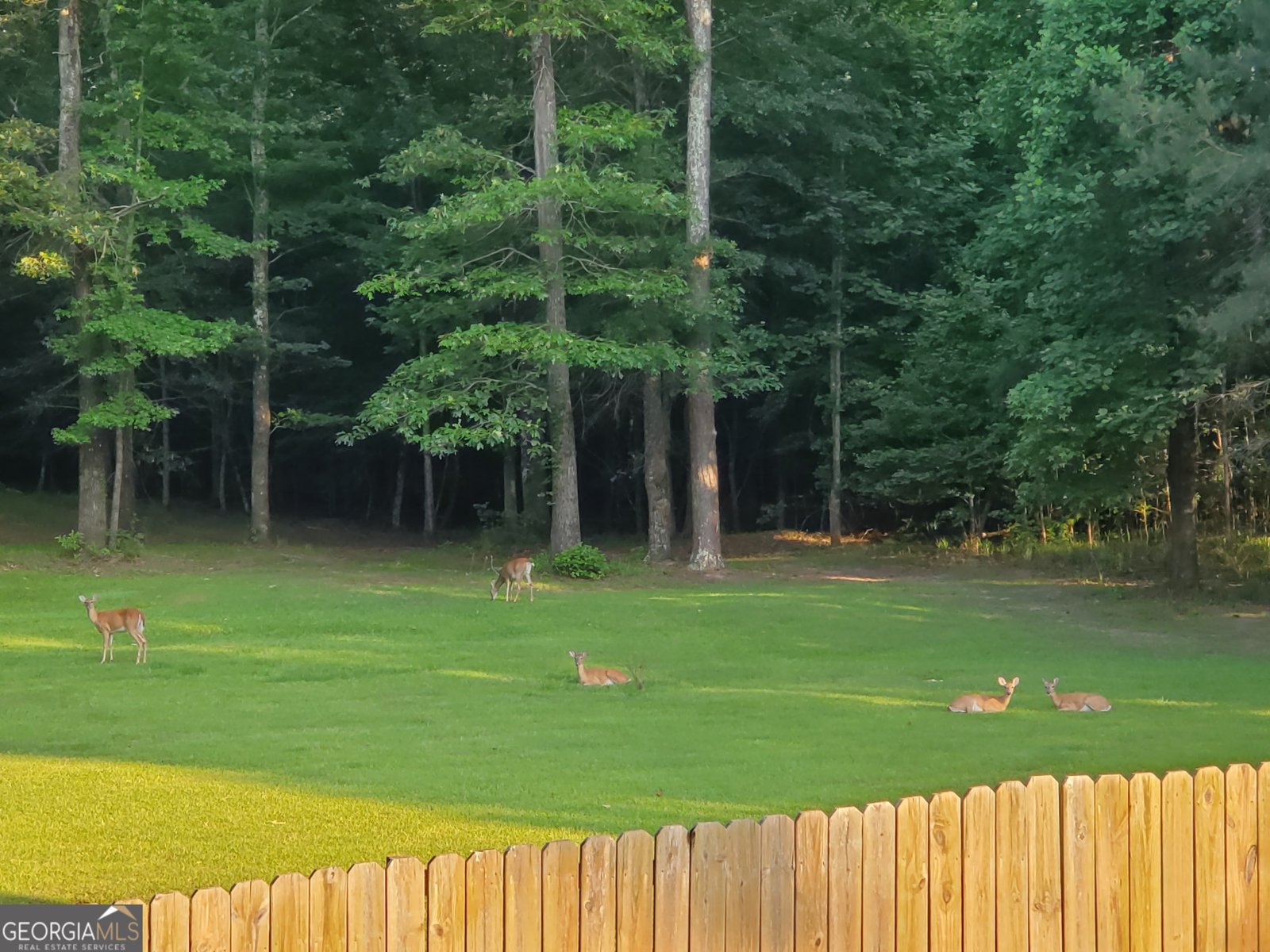 200 Gates Road Lizella - Photo 84