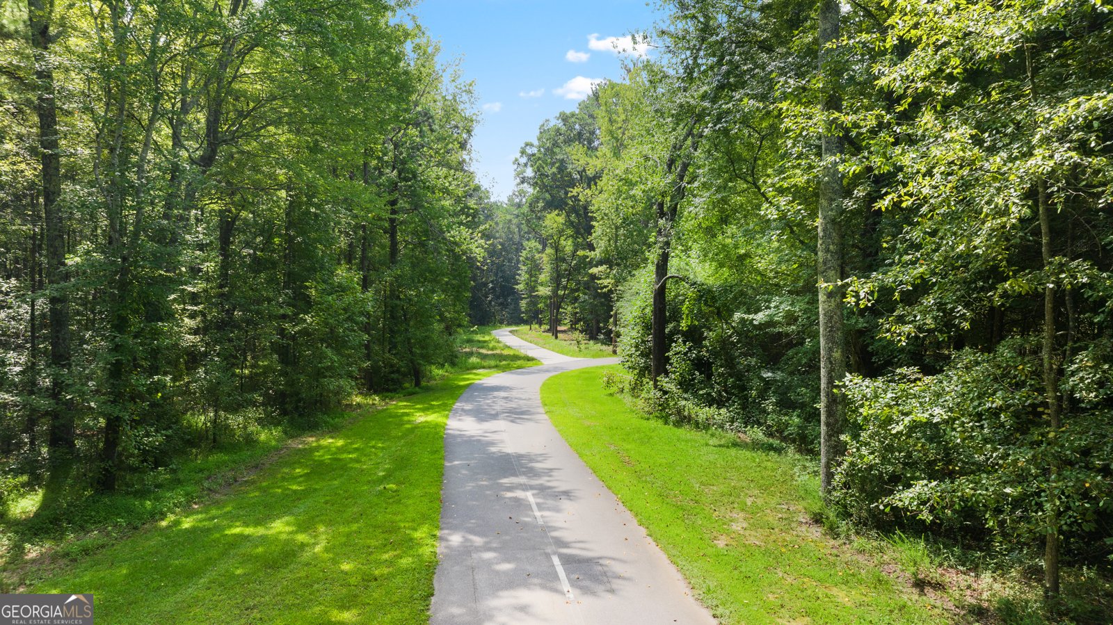 555 SILVER MOON Drive Loganville - Photo 32