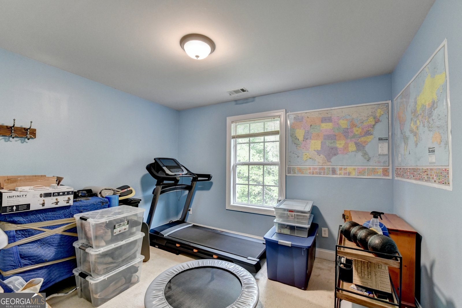 1130 Rose Lily Place Dacula - Photo 53