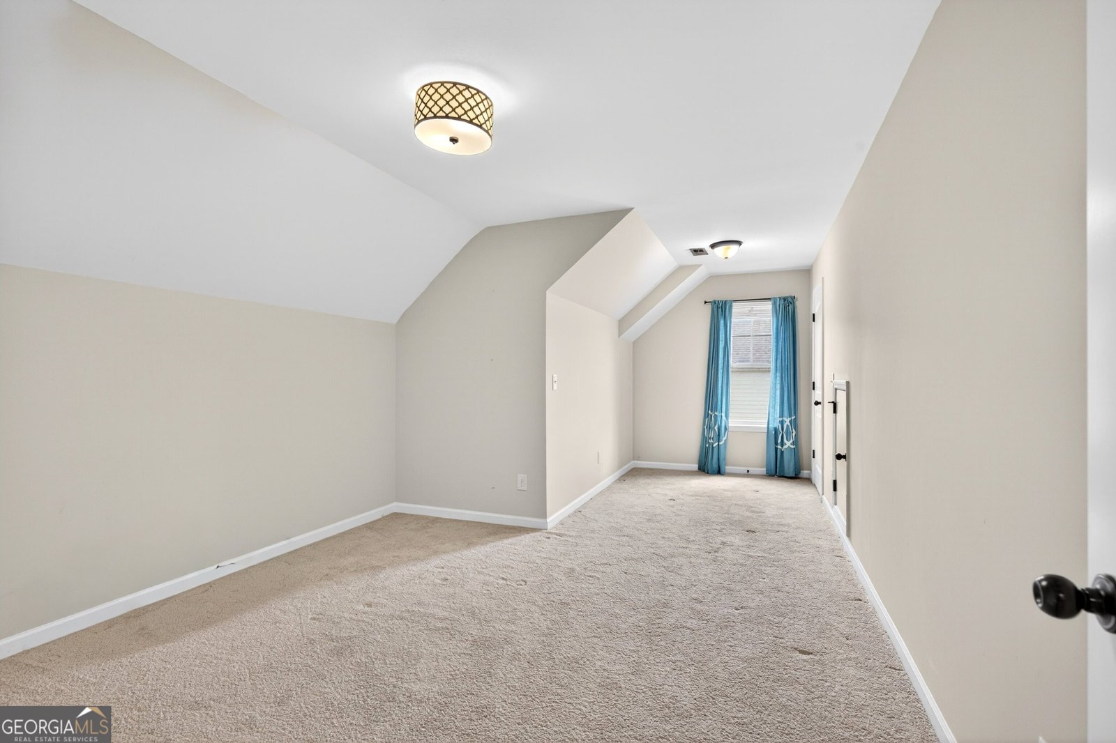 310 Ivy Lane Senoia - Photo 34