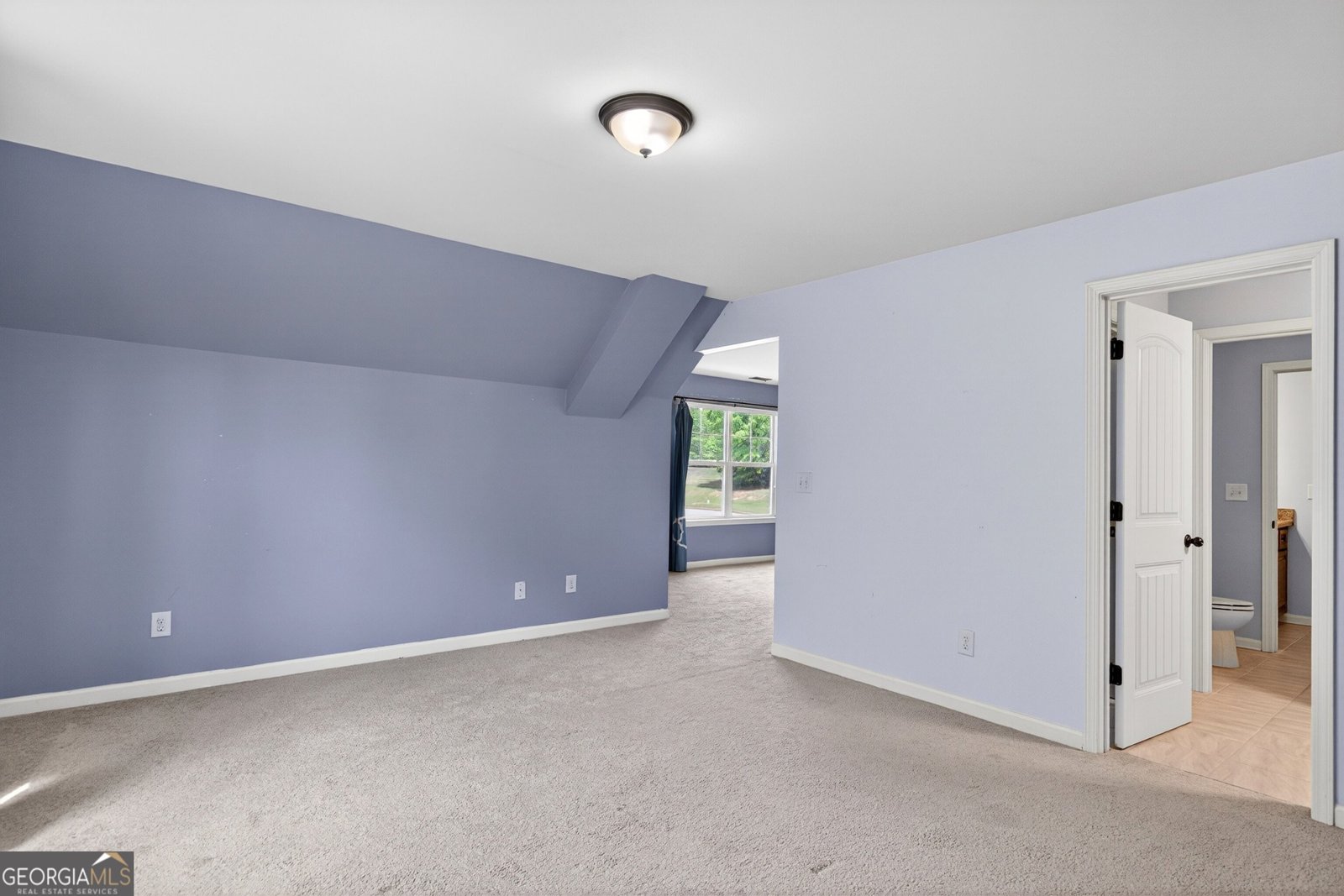 310 Ivy Lane Senoia - Photo 38