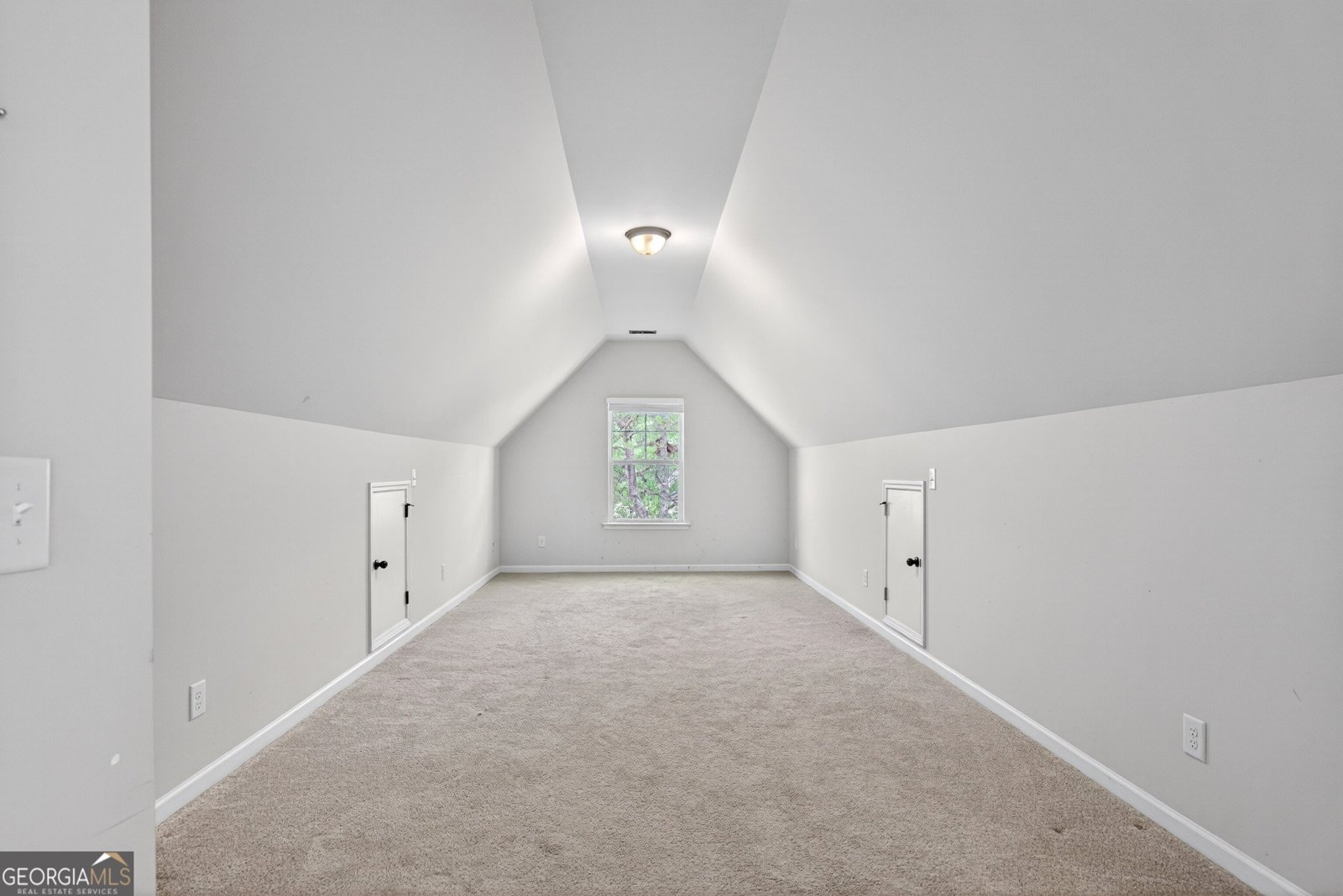 310 Ivy Lane Senoia - Photo 41