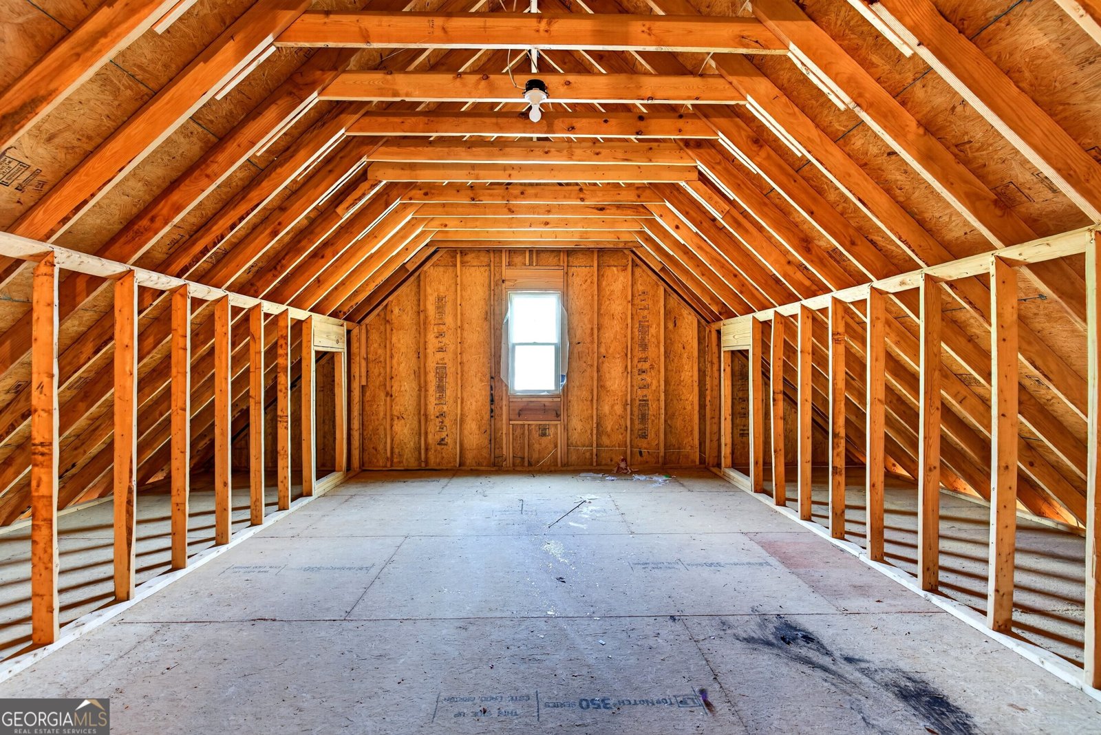 310 Ivy Lane Senoia - Photo 46