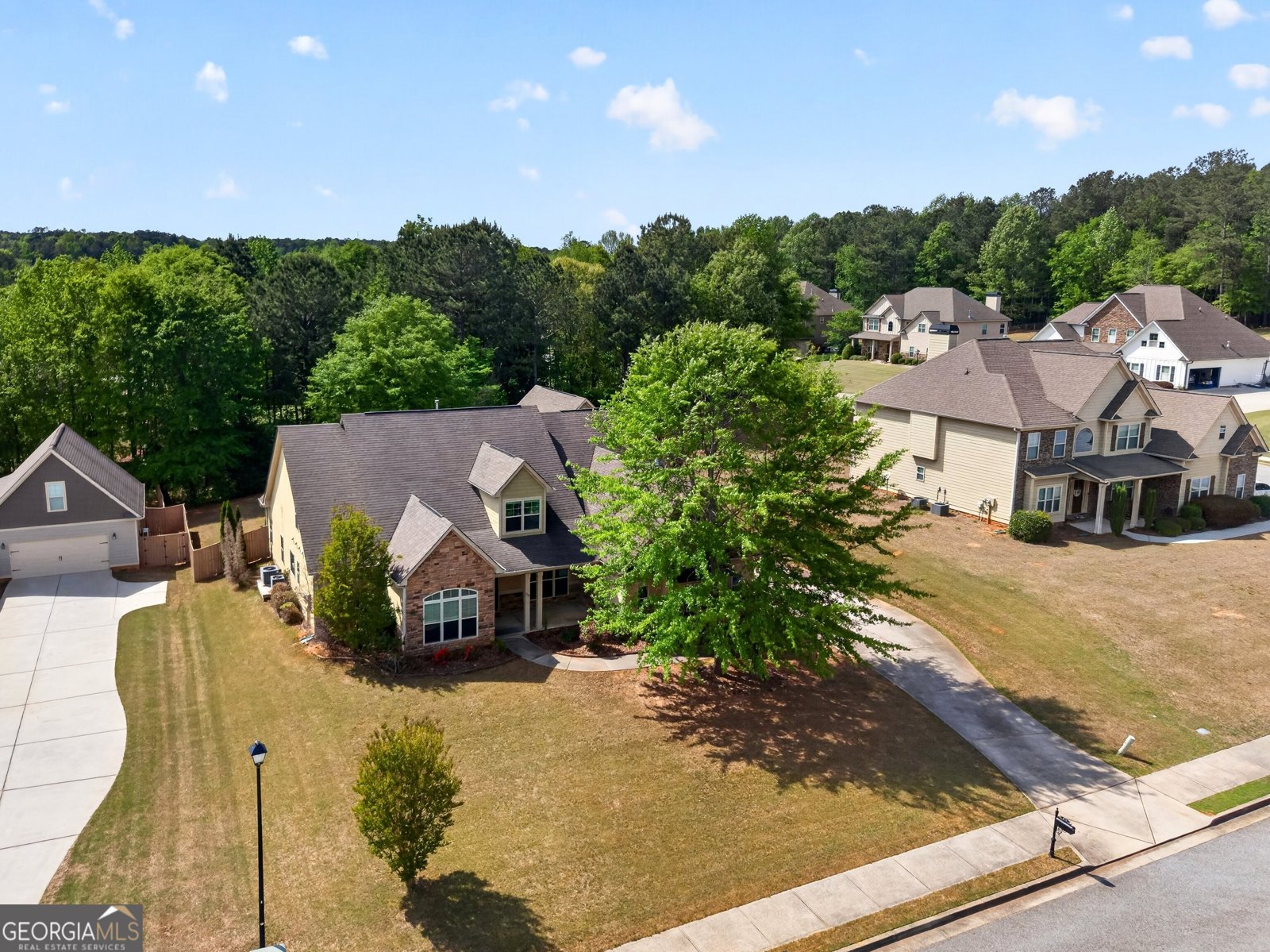 310 Ivy Lane Senoia - Photo 49