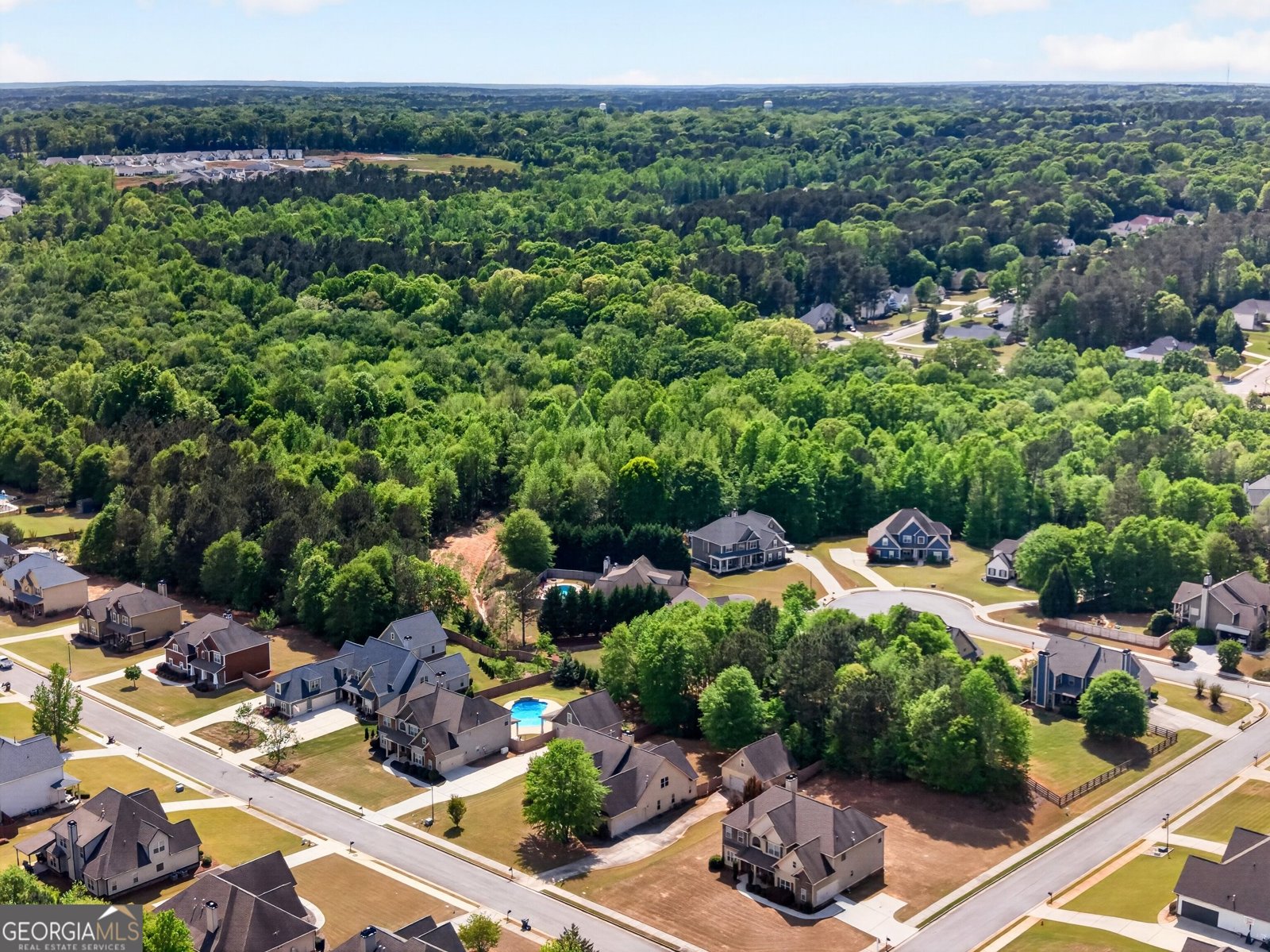 310 Ivy Lane Senoia - Photo 51