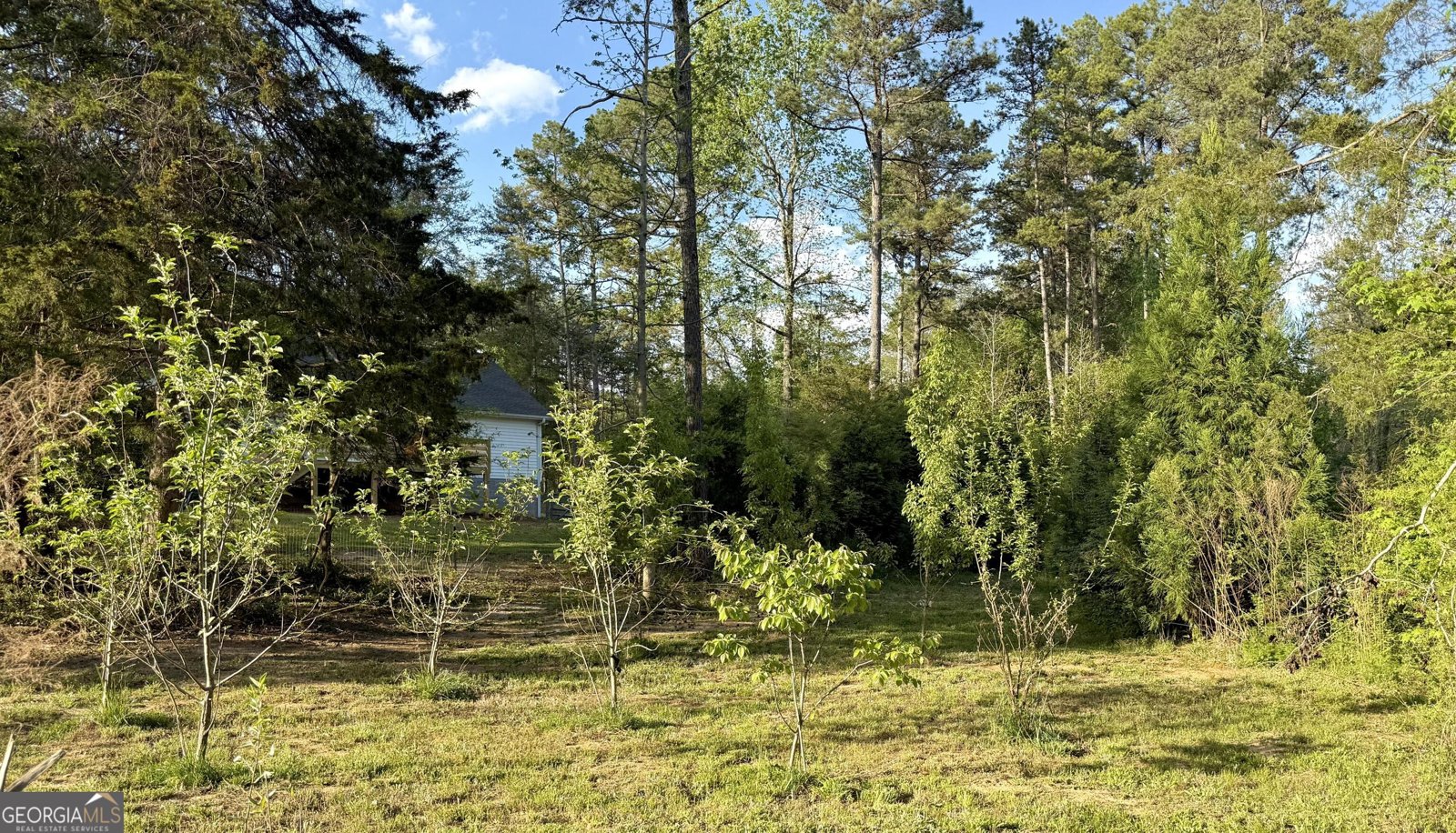 791 Silver Shoals Road Lula - Photo 36