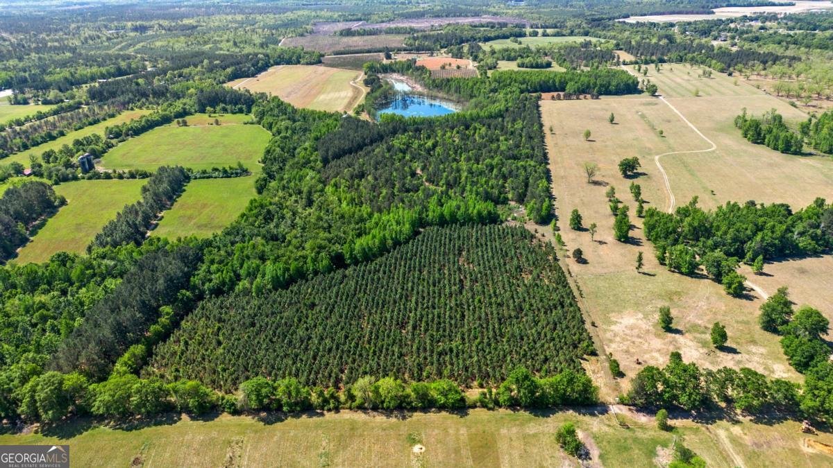 1747 Perkins Greenfork Road Millen - Photo 39