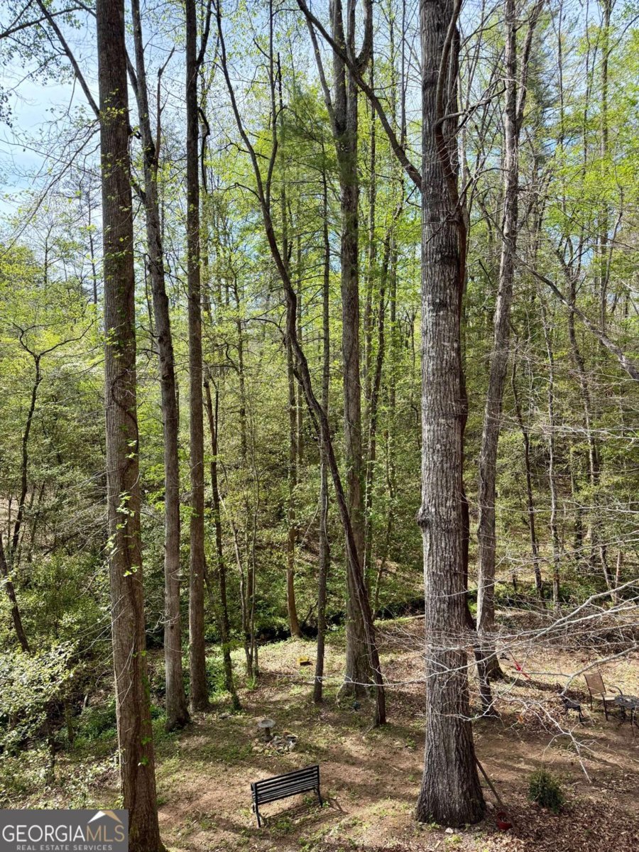 294 Brookwood Lane Clarkesville - Photo 45