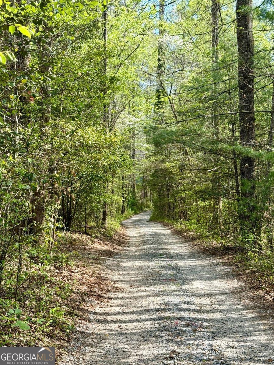 294 Brookwood Lane Clarkesville - Photo 46