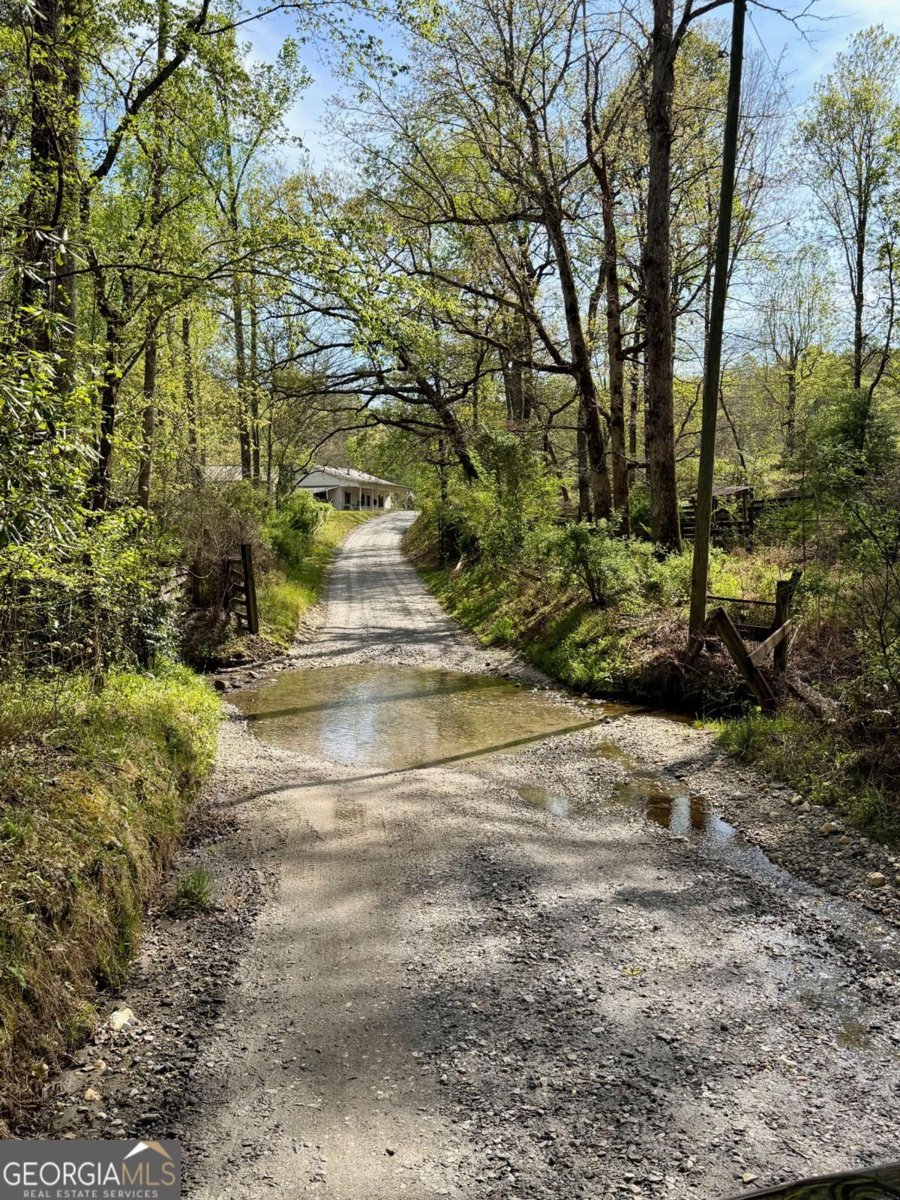 294 Brookwood Lane Clarkesville - Photo 47