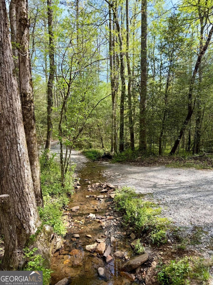 294 Brookwood Lane Clarkesville - Photo 48