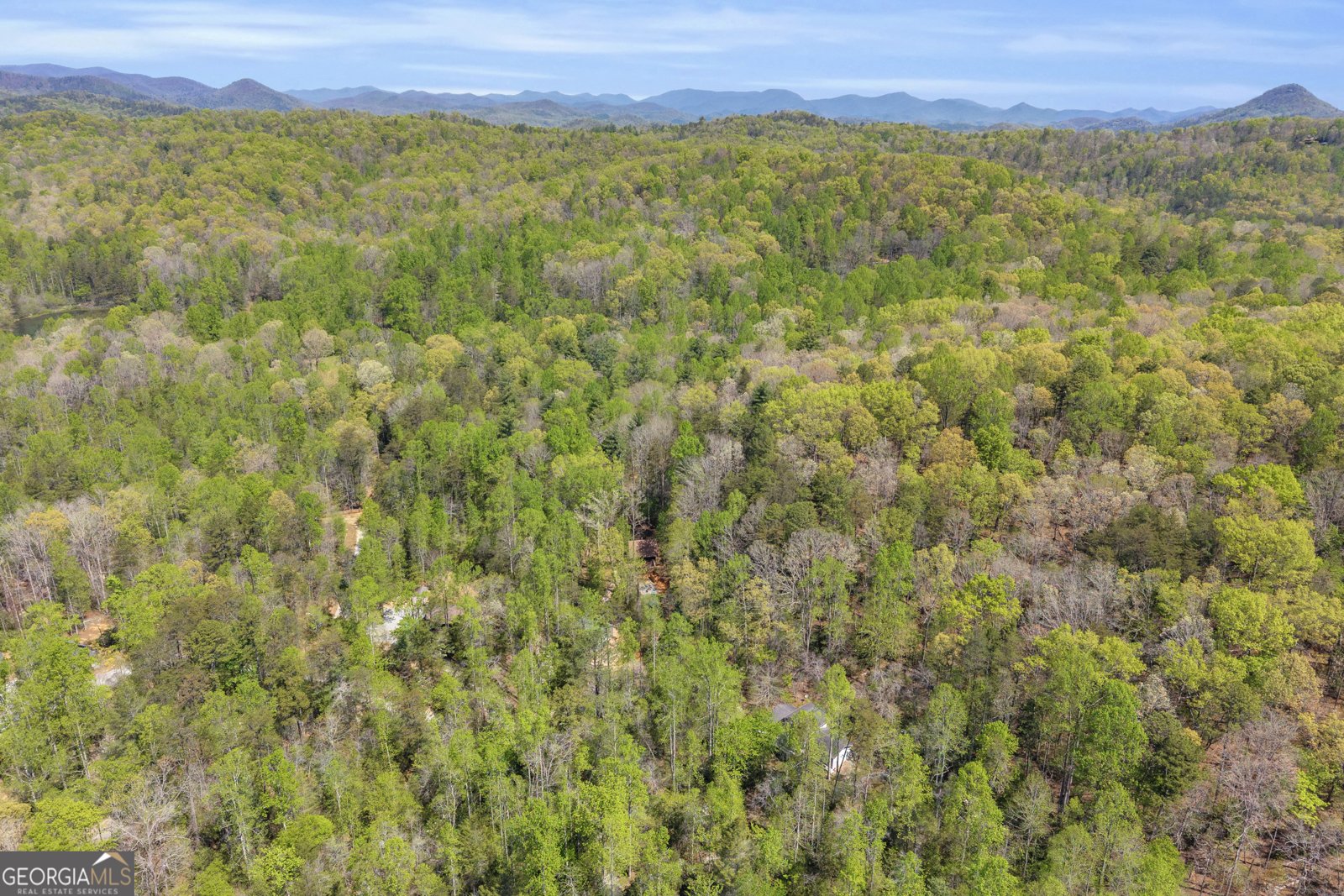 294 Brookwood Lane Clarkesville - Photo 53