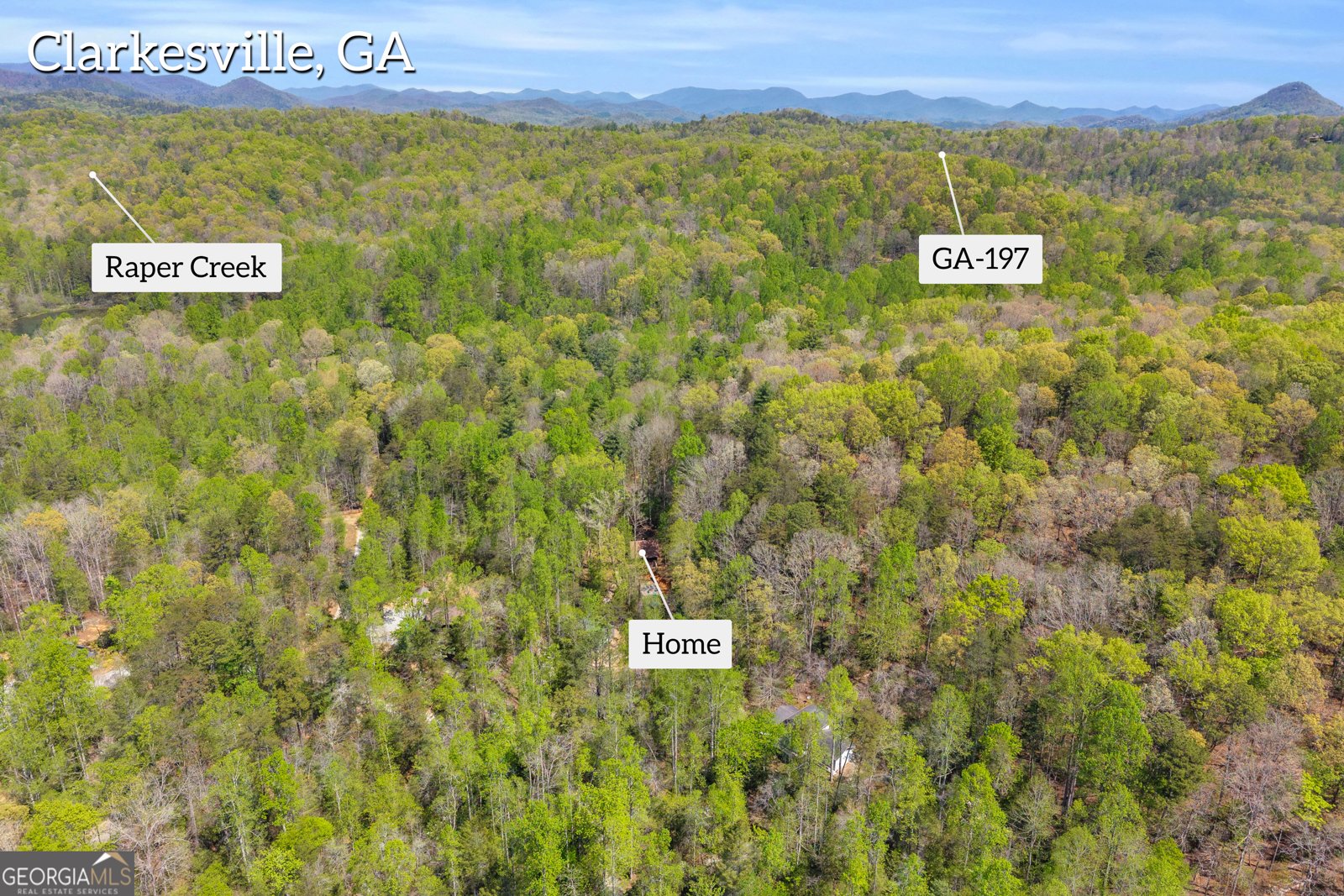 294 Brookwood Lane Clarkesville - Photo 54