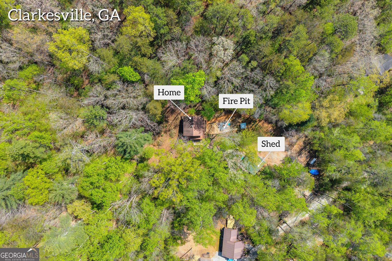 294 Brookwood Lane Clarkesville - Photo 55