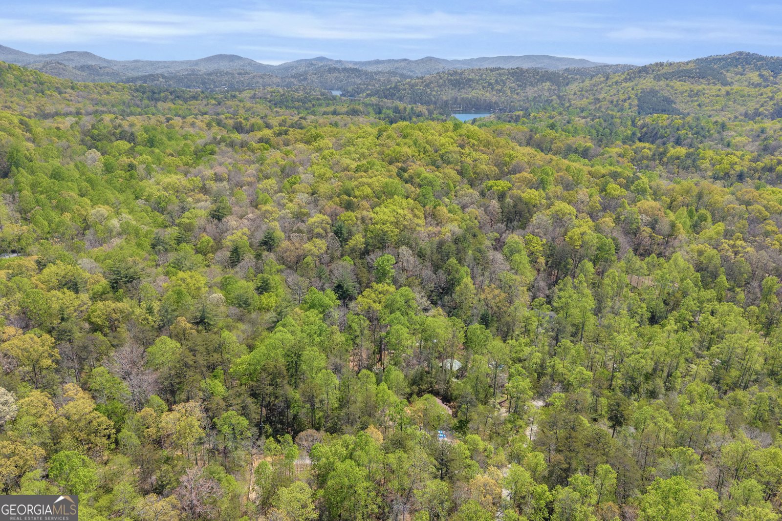 294 Brookwood Lane Clarkesville - Photo 57
