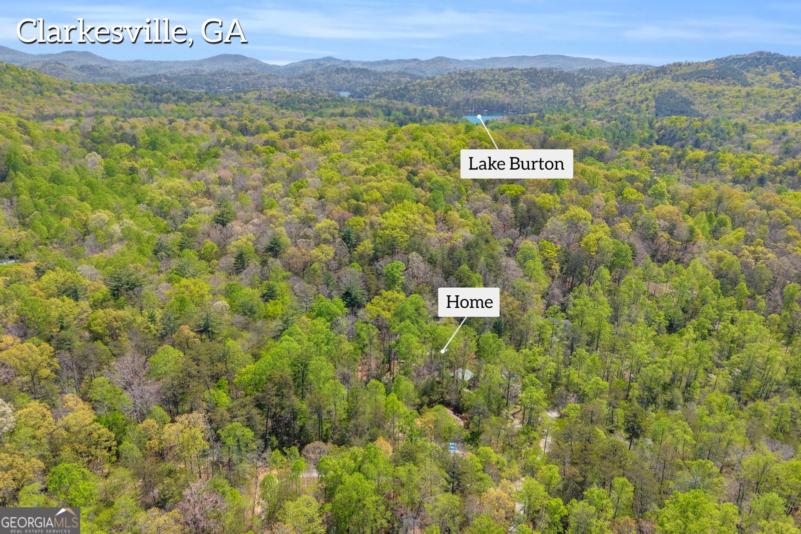 294 Brookwood Lane Clarkesville - Photo 58